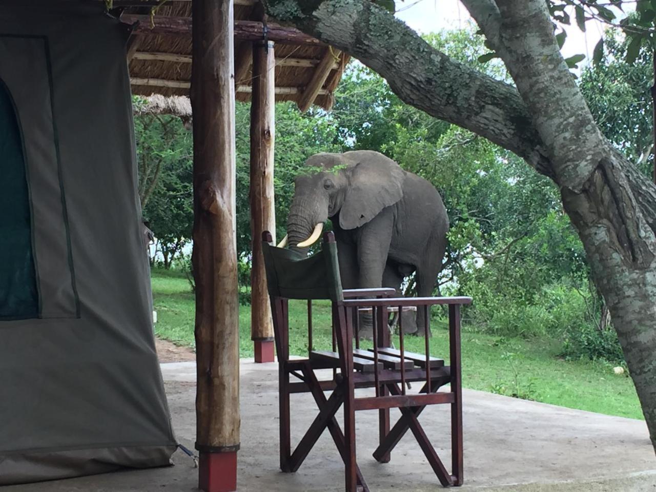 Queen Elizabeth Bush Lodge By Nature Lodges Ltd Katunguru Kültér fotó